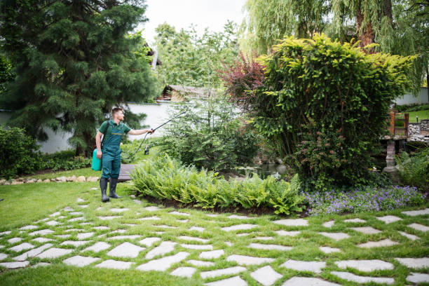 Best Residential Pest Control  in Randolph, NE