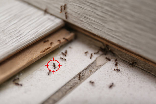 Randolph, NE Pest Control Company