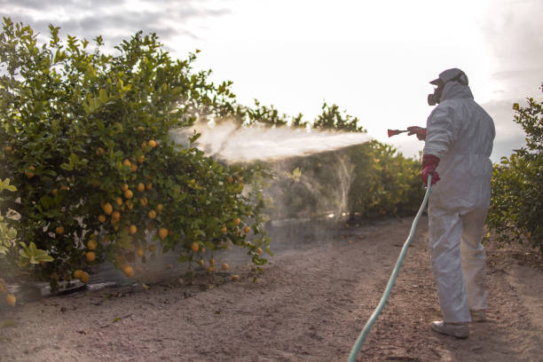 Best Bed Bug Extermination  in Randolph, NE