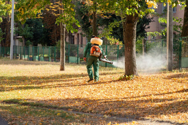 Best Affordable Pest Control Services  in Randolph, NE