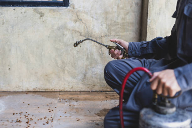 Best Commercial Pest Control Services  in Randolph, NE